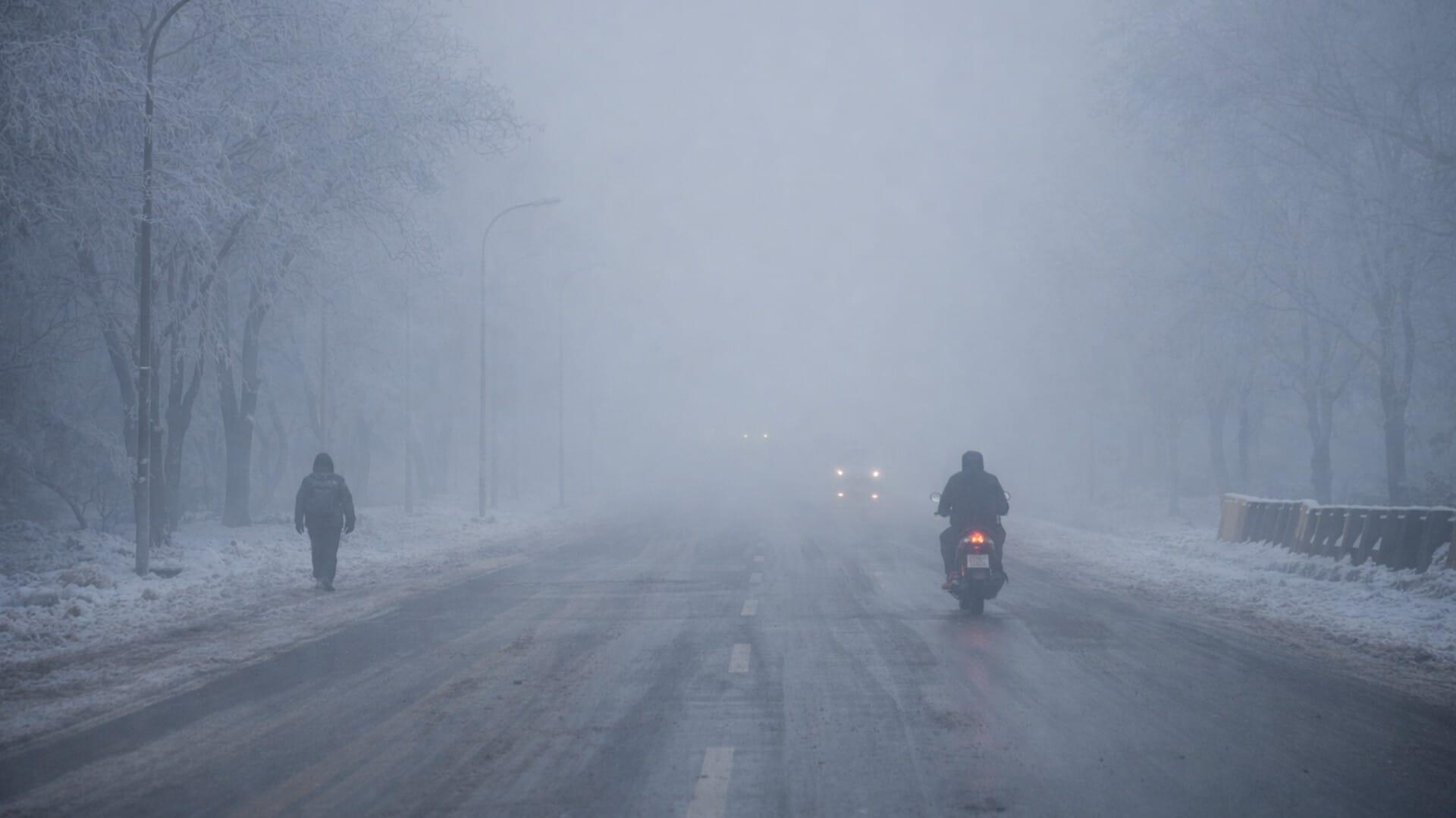 IMD Issues Cold Wave, Dense Fog Alert for North and East India Until Dec 31