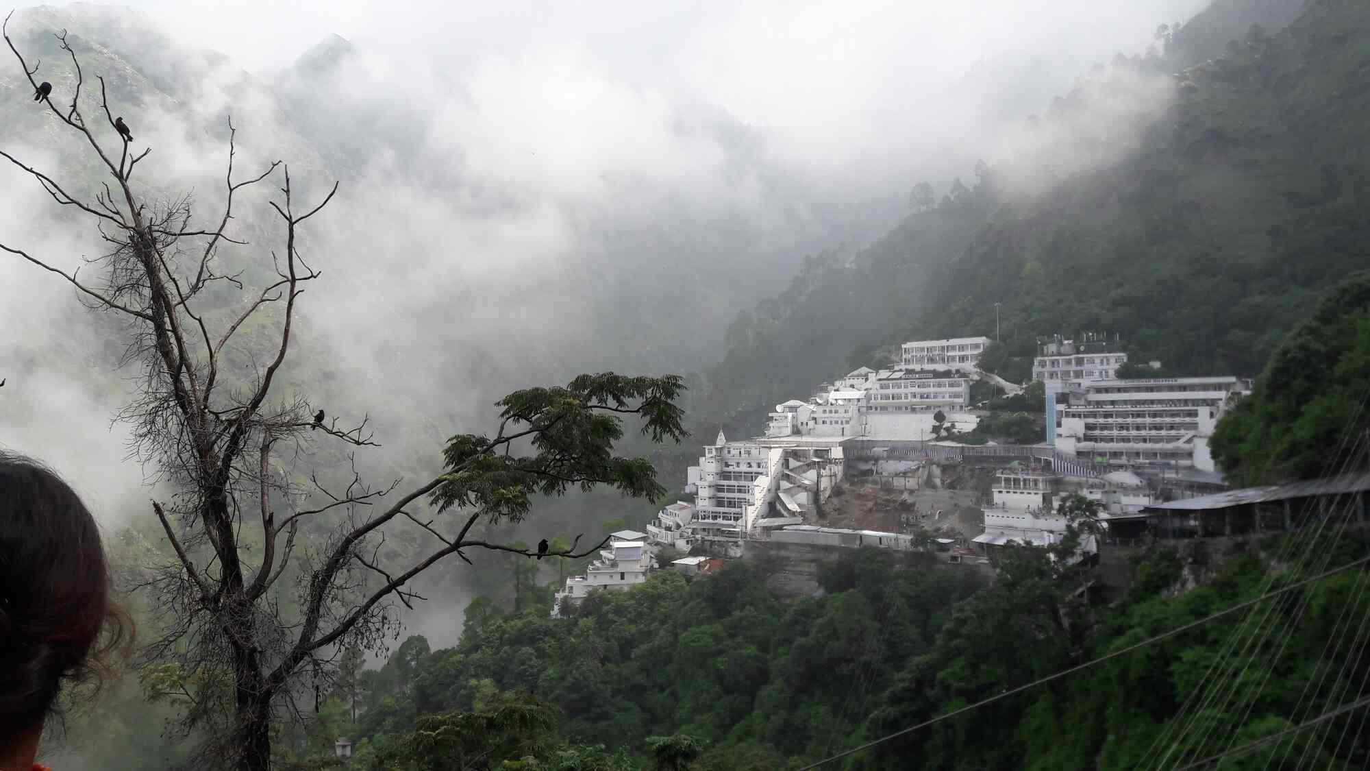 Vaishno Devi Yatra Advisory: Shrine Board warns against fake WhatsApp bookings, issues helpdesk number