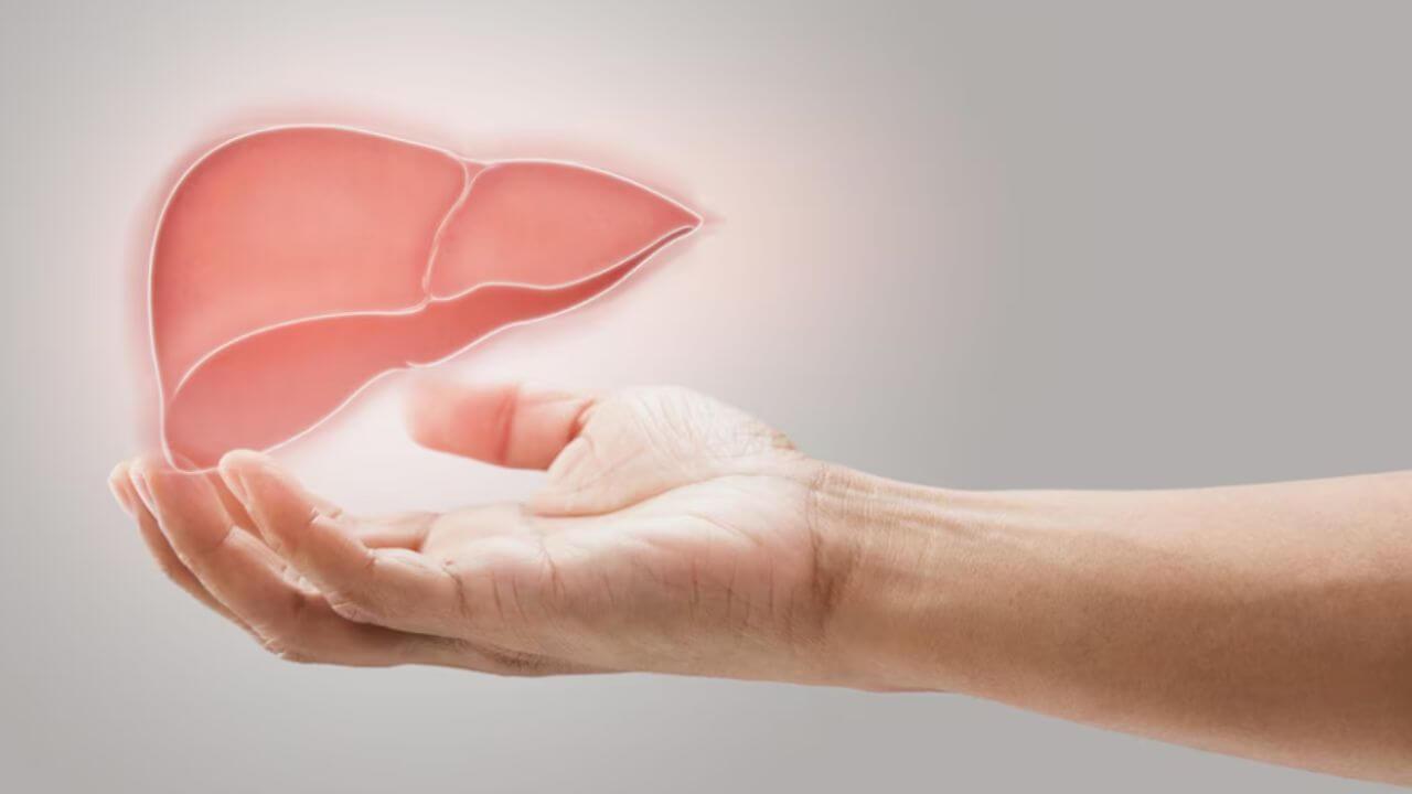 Liver Health: यकृतमध्ये साचलेली घाण काढून टाकतात ‘हे’ ड्रिंक्स, आजच प्यायला करा सुरुवात