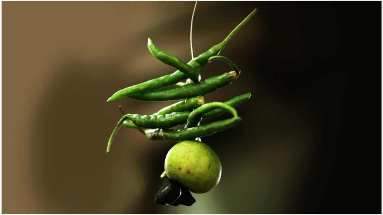 दारावर लिंबू-मिरची का लटकवतो ? जाणून घ्या यामागच वैज्ञानिक कारण..
