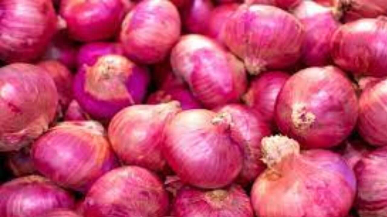 Onion Price: महाराष्ट्रातील बाजार समित्यांमध्ये कांद्याच्या दरात मोठी उलथापालथ; आज काय भाव ?
