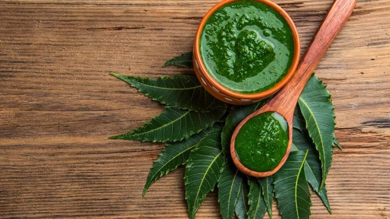 Neem Scrub: घरच्या घरी बनवा कडुलिंबाचा स्क्रब, दूर होतील पिंपल्स आणि डाग