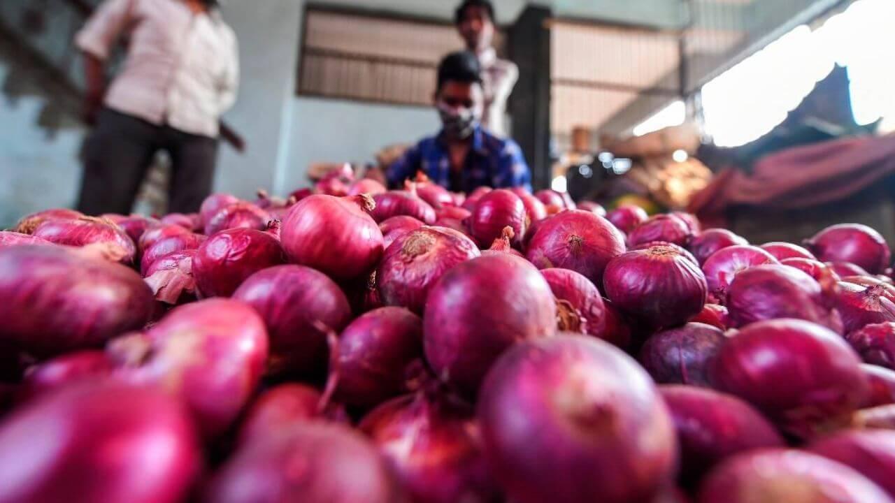 Onion Rate: कांद्याचे दर गडगडल्याने राज्यातील शेतकरी चिंतेत, ग्राहकांना दिलासा