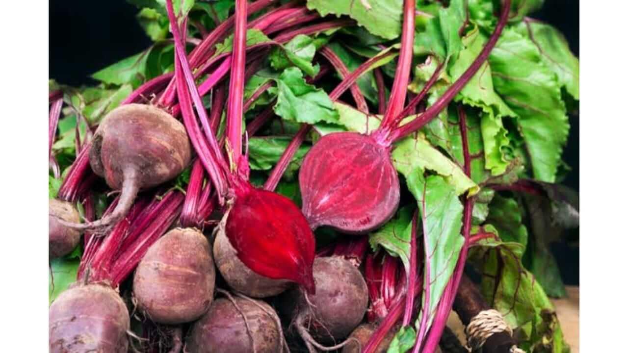 आरोग्यसाठी वरदान आहे बीट, जाणून घ्या फायदे
