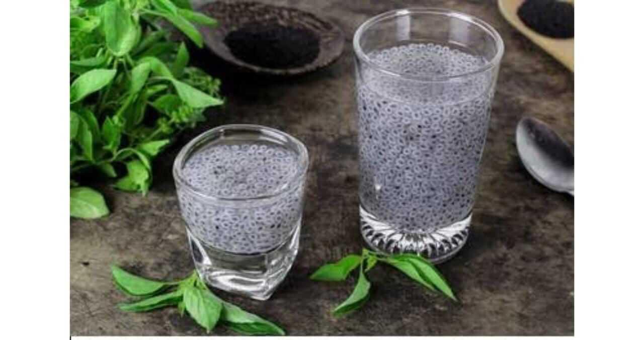 तुम्हालाही होतोय उष्णतेचा त्रास?; सब्जा करेल मदत… जाणून घ्या फायदे