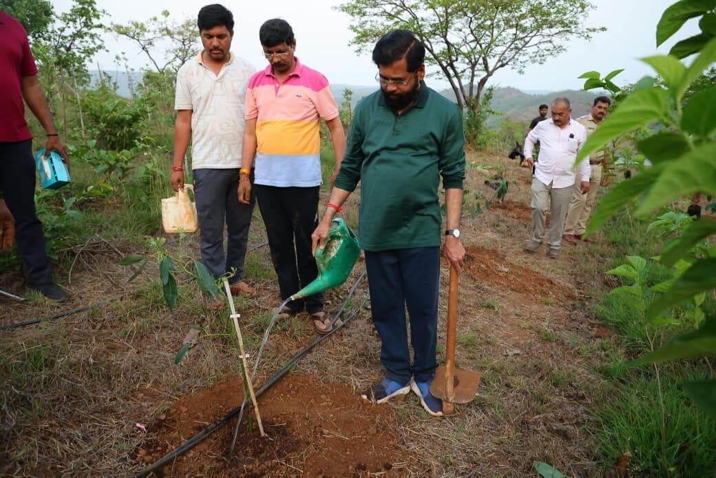 उपमुख्यमंत्री एकनाथ शिंदे पुन्हा एकदा रमले शेतीत; आपल्या मूळ दरे गावातल्या शेतात यंदा केली आवाकाडोची लागवड
