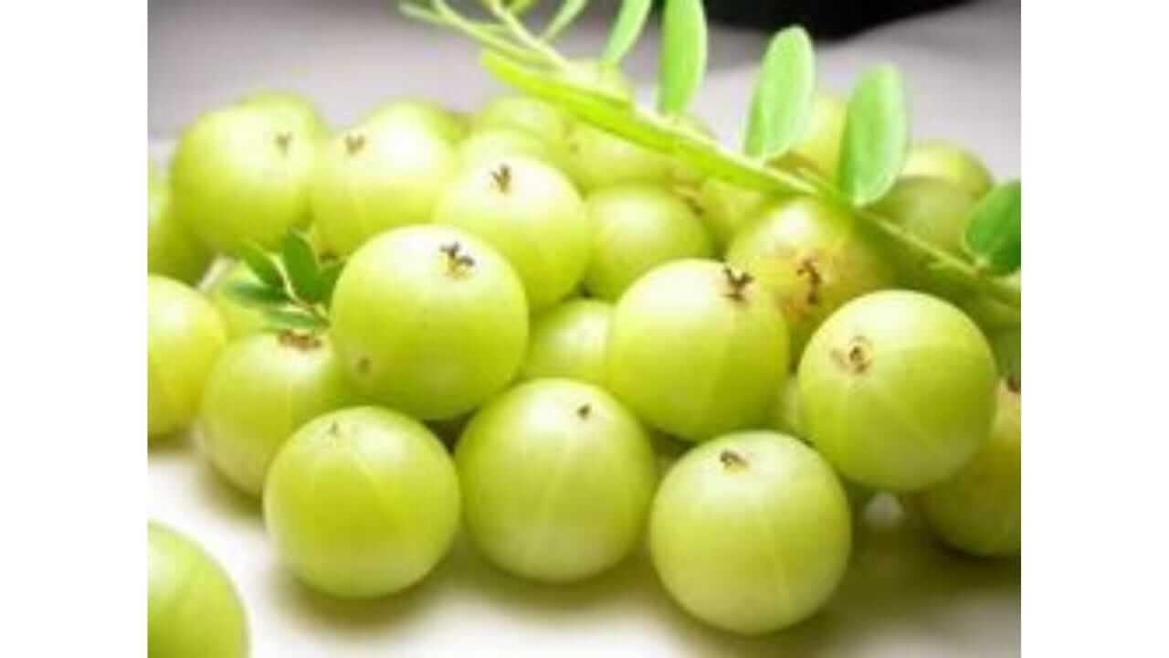 केसांच्या प्रत्येक समस्येवर आवळा आहे रामबाण उपाय; जाणून घ्या फायदे