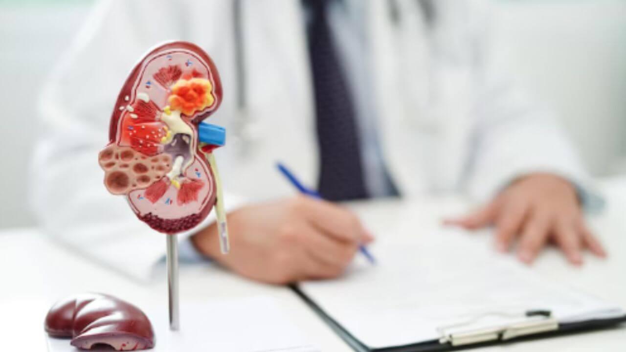 मुतखडा असणाऱ्यांनी अजिबात खाऊ नयेत ‘हे’ पदार्थ, वाढू शकते समस्या