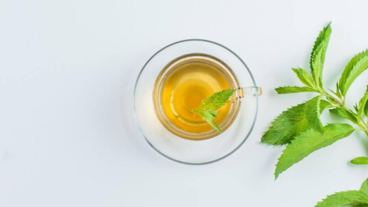 पावसाळ्यात दररोज प्या तुळशीचा चहा, दूर होतील अनेक आजार