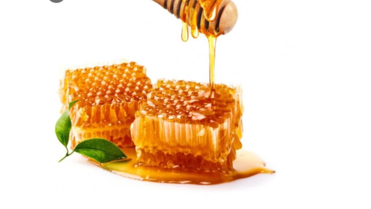 अनेक आजारांवर रामबाण औषध आहे मध, दररोज खाल्याने मिळतात ५ फायदे