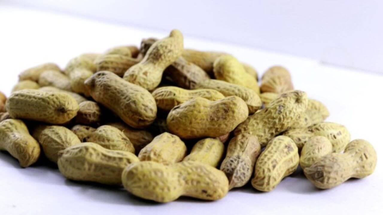 भाजून नव्हे उकडून खा शेंगदाणे, आरोग्याला मिळतील अफाट फायदे
