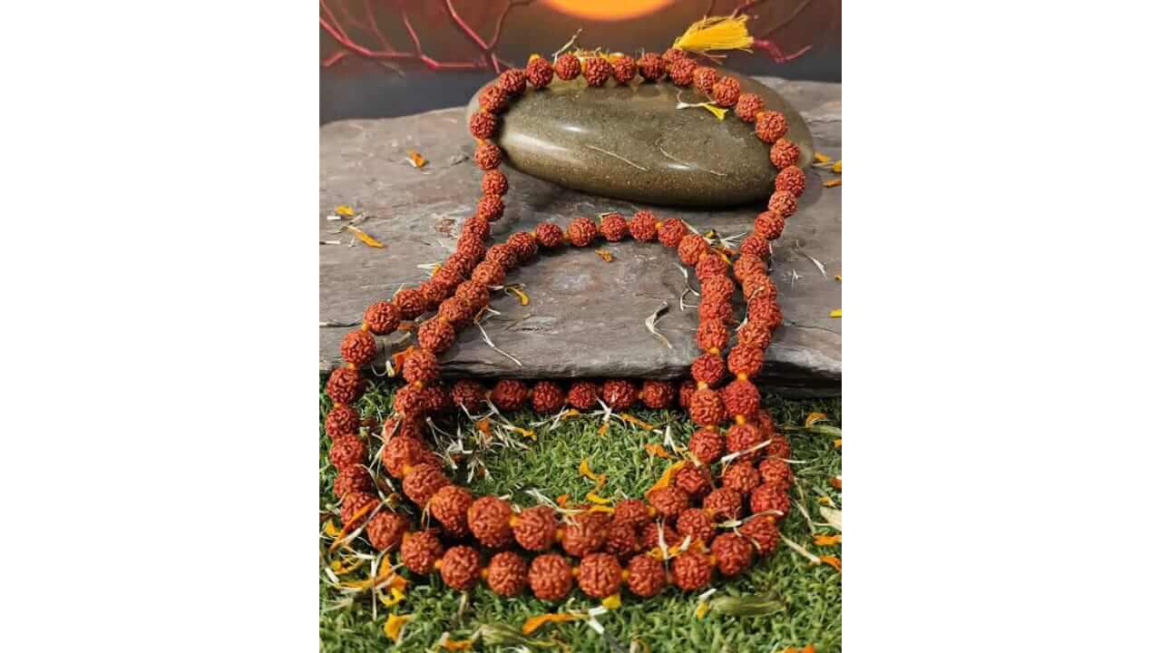 रुद्राक्ष धारण करताय? मग ‘हे’ नियम लक्षात ठेवा, नाहीतर महादेवाच्या क्रोधाला सामोरे जावे लागेल