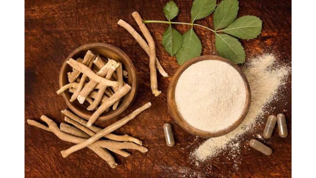 ताण-तणावावर प्रभावी उपाय; अश्वगंधा अतिशय गुणकारी, जाणून घ्या फायदे…