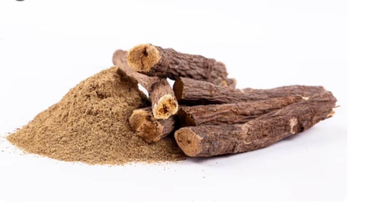 पावसाळ्यात दररोज खा ज्येष्ठमध, वाढेल रोगप्रतिकारक शक्ती मिळतील अनेक फायदे