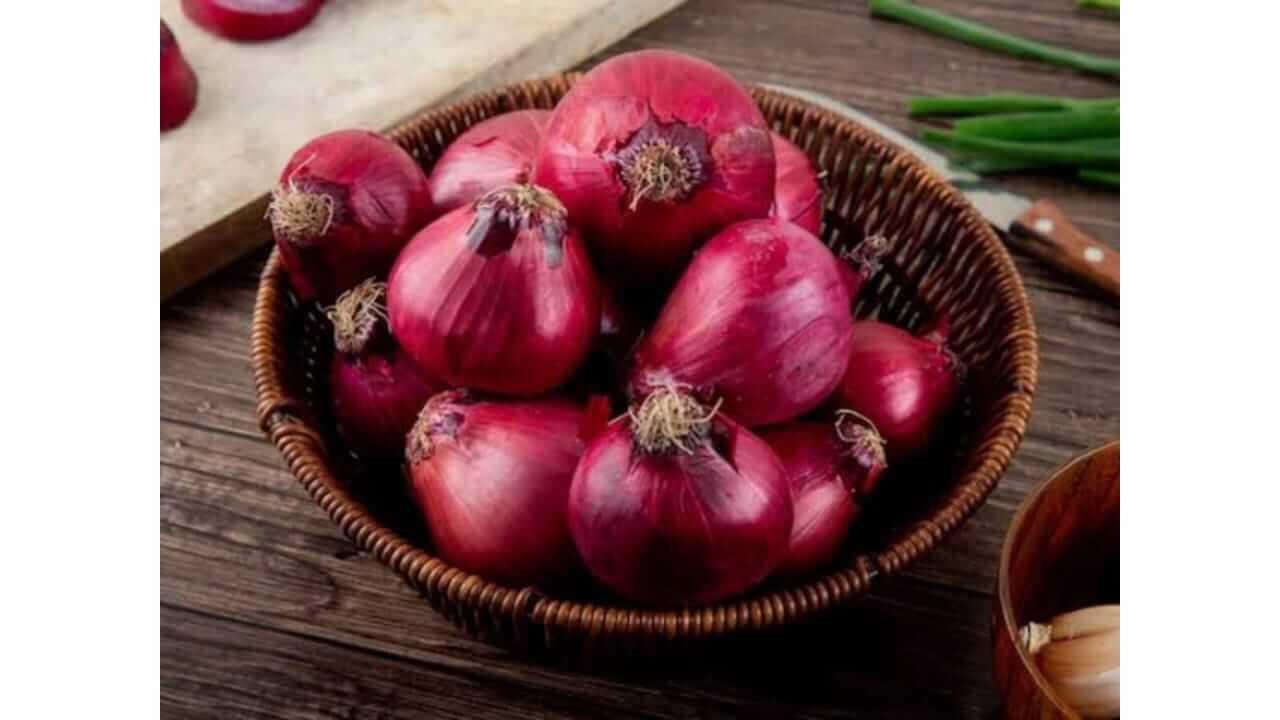 घरी ठेवलेले कांदे लवकर कुजतात का? या टिप्स वापरून पाहा कांदा वर्षभर खराब होणार नाही