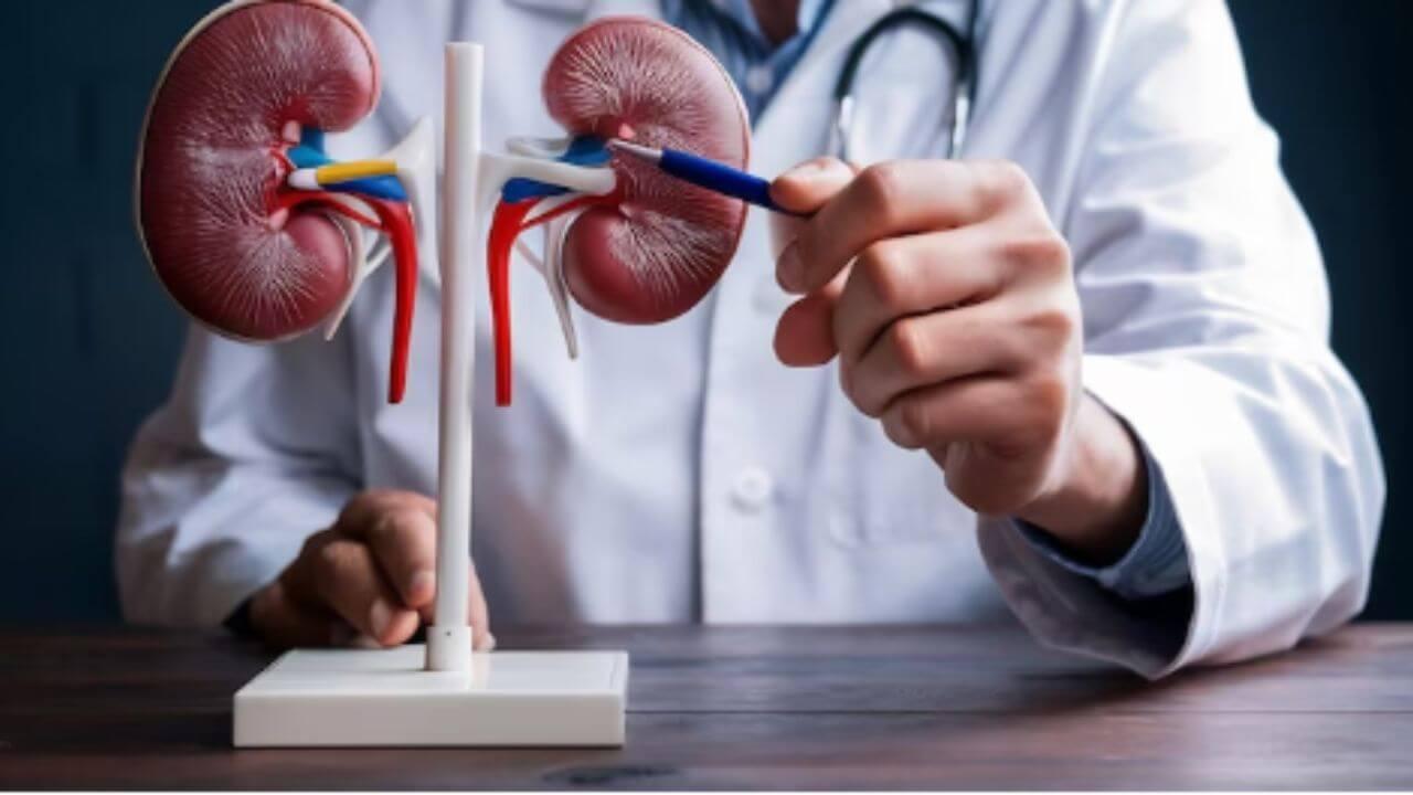 औषधांशिवाय कमी होतील मुतखड्याच्या वेदना, करा ‘हे’ घरगुती उपाय