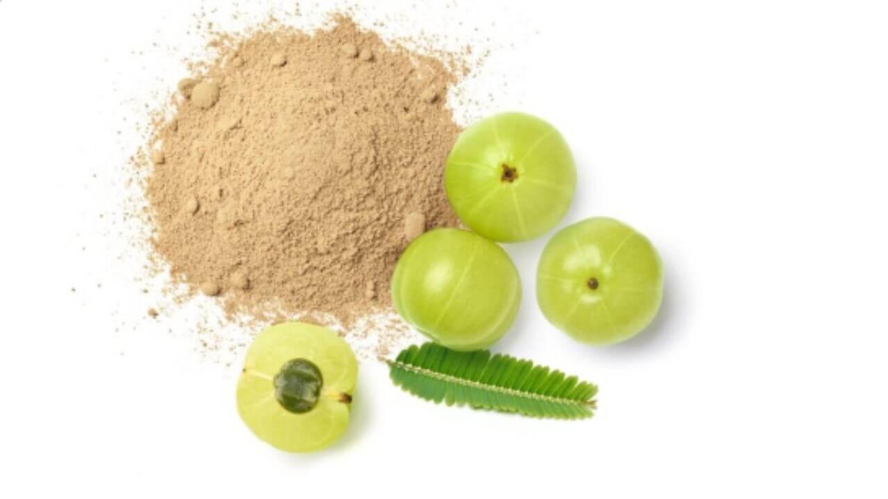 दररोज सकाळी आवळा पावडर खाल्ल्याने मिळतात अनेक फायदे, जाणून घ्या सेवन करण्याची पद्धत