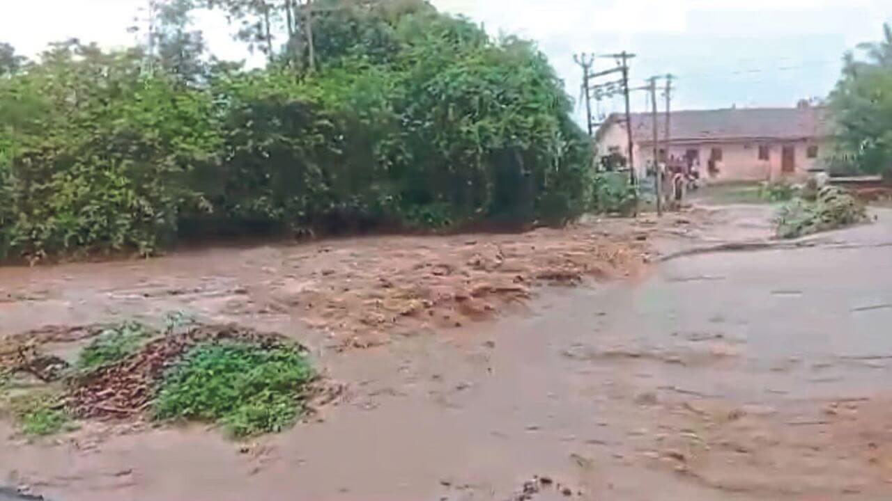 राज्यात गेल्या २४ तासात सर्वांधिक पाऊस कुठे? पावसामुळं मृत्यू आणि जखमी किती? धोक्याचा इशारा कुठे?
