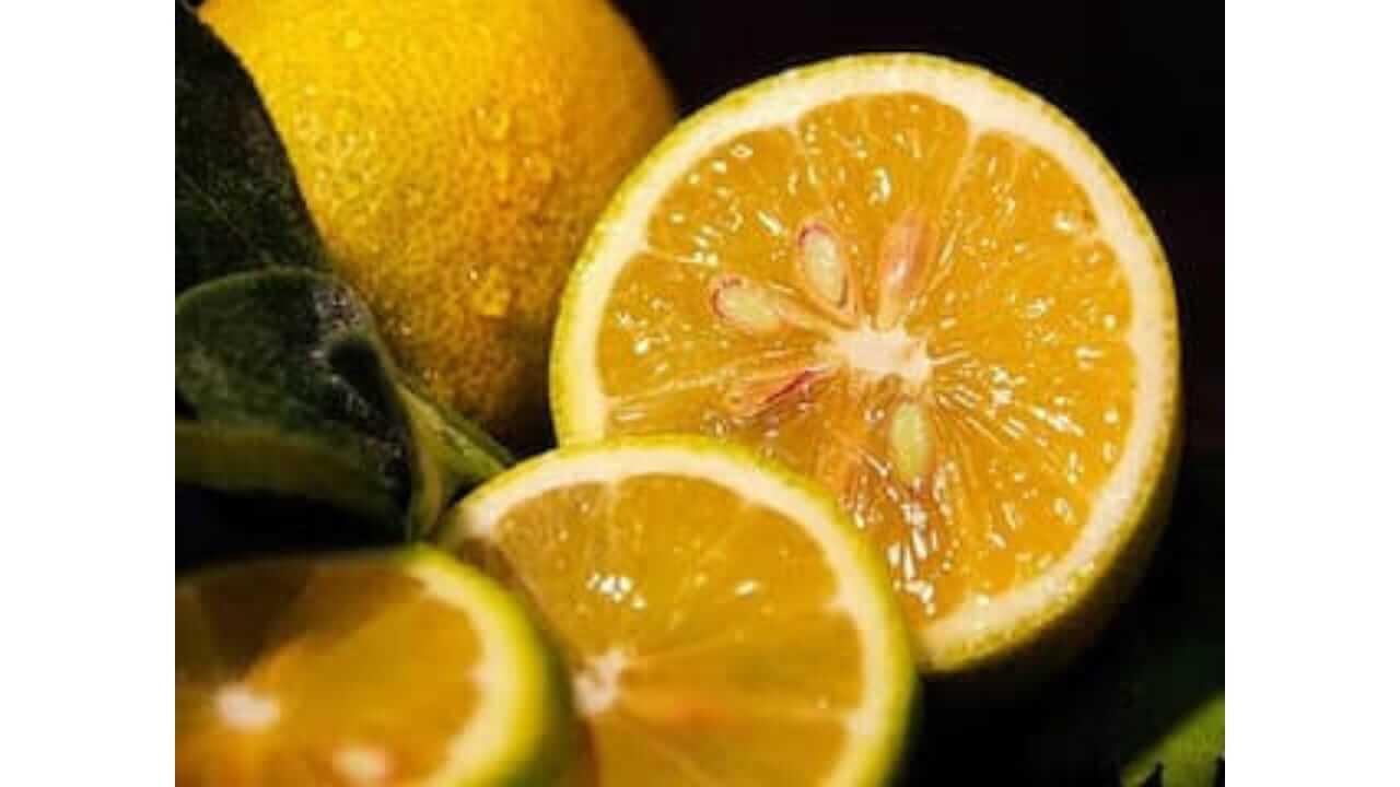  लिंबाच्या बियांचे ‘हे’ आश्चर्यकारक फायदे तुम्हाला माहीत आहेत का? जाणून घ्या