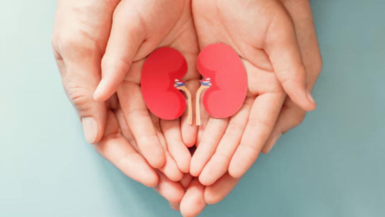 किडनीमधील घाण बाहेर फेकण्यासाठी दररोज प्या ५ ड्रिंक्स, औषधांशिवाय होईल स्वच्छ