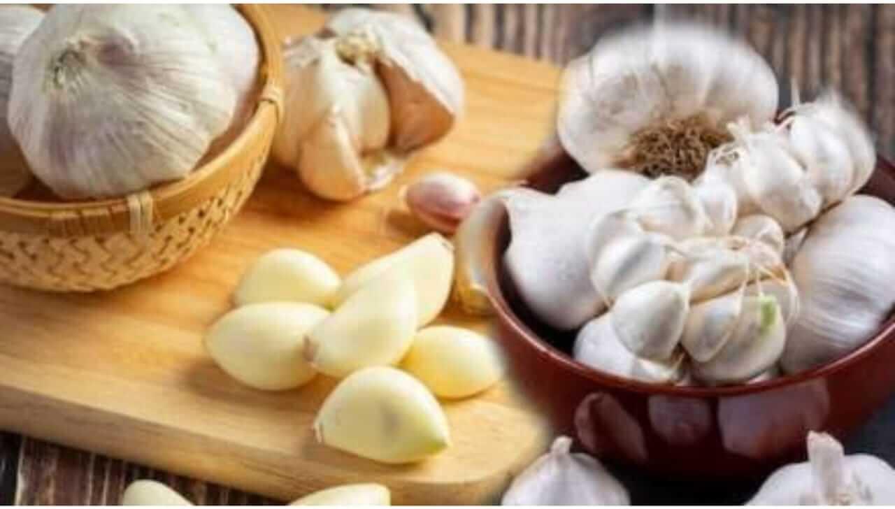 भाजलेला लसूण आरोग्यासाठी गुणकारी जाणून घ्या फायदे