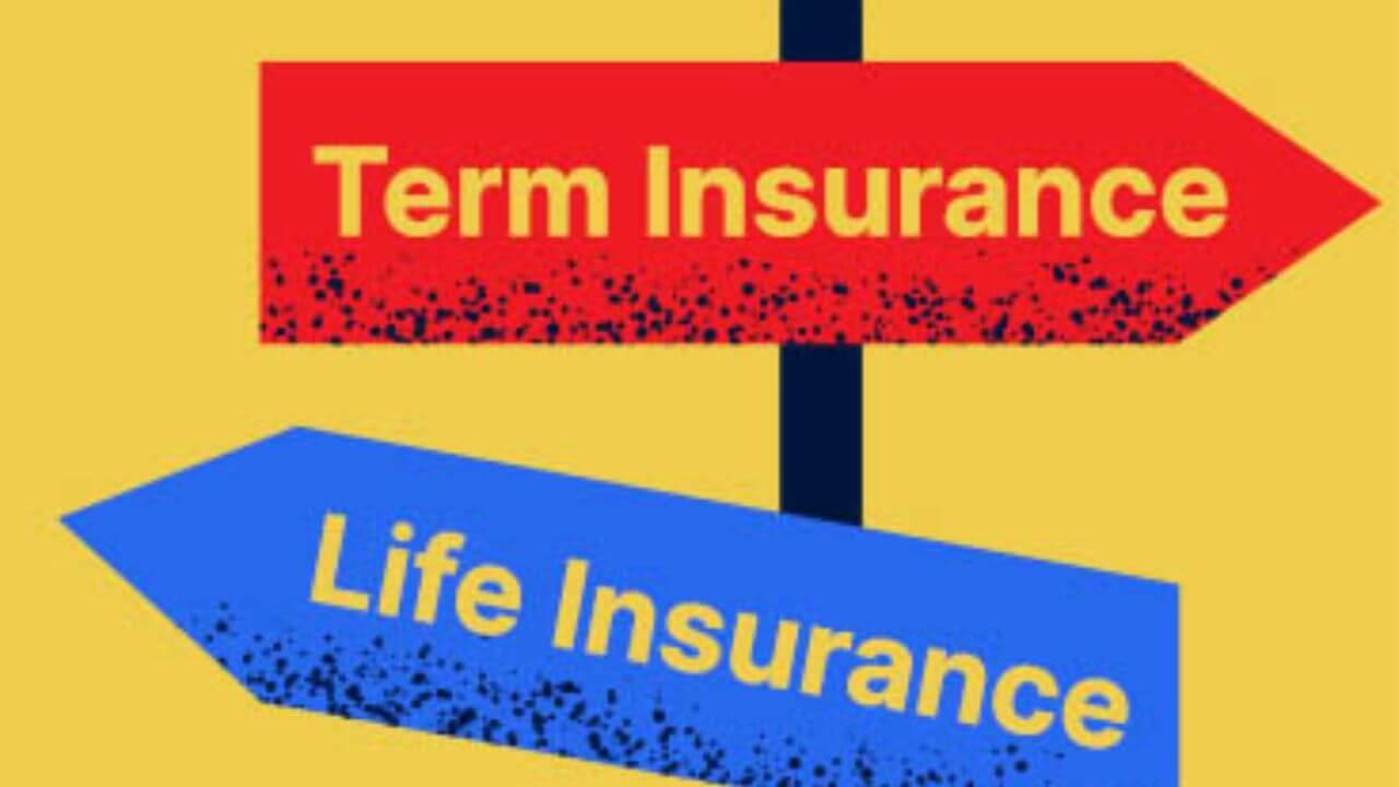 टर्म इन्शुरन्स आणि लाईफ इन्शुरन्स म्हणजे काय? कोणता इन्शुरन्स अधिक फायदेशीर?
