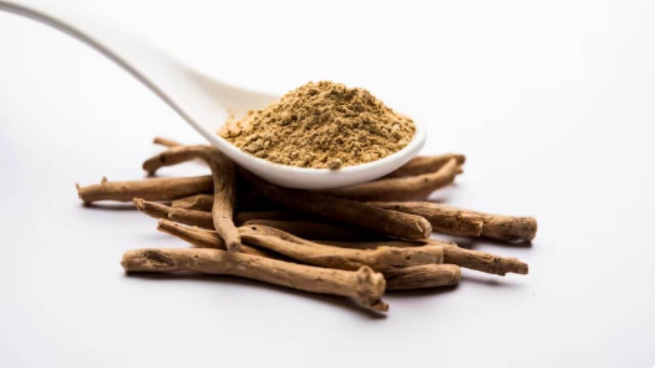 डायबिटीस आणि बीपी नियंत्रित करण्यासाठी फायदेशीर आहे शतावरी, जाणून घ्या सेवन करण्याची पद्धत