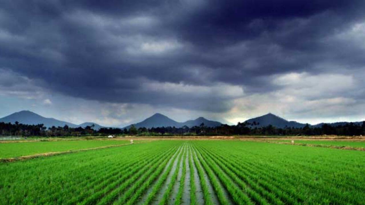 Rain Alert: महाराष्ट्रात पावसाचा जोर ओसरला; कोकण आणि घाटमाथ्यावर तुरळक पावसाचा अंदाज