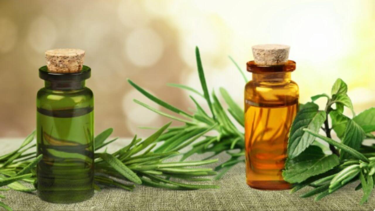 केस वाढवण्यासाठी सर्वोत्तम आहेत ५ नैसर्गिक तेल, दररोज वापरल्यास मिळतील फायदे