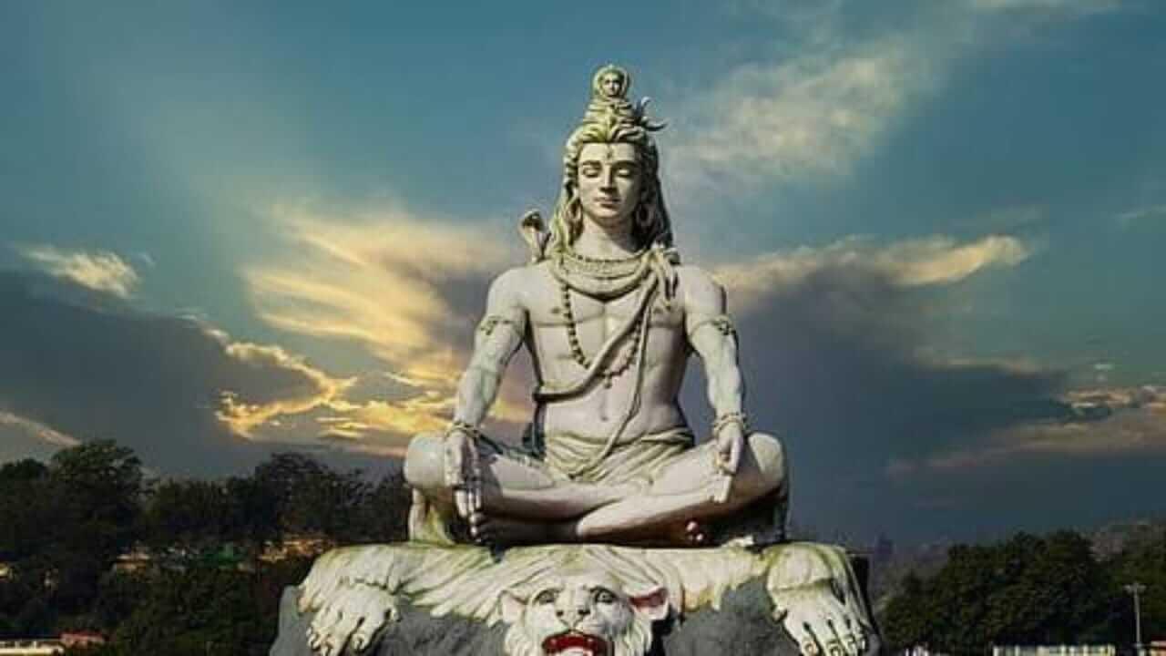 श्रावण महिन्यात अंगणात लावा ‘ही’ रोपं, धनलाभ होईल; आर्थिक अडचणी दूर होतील