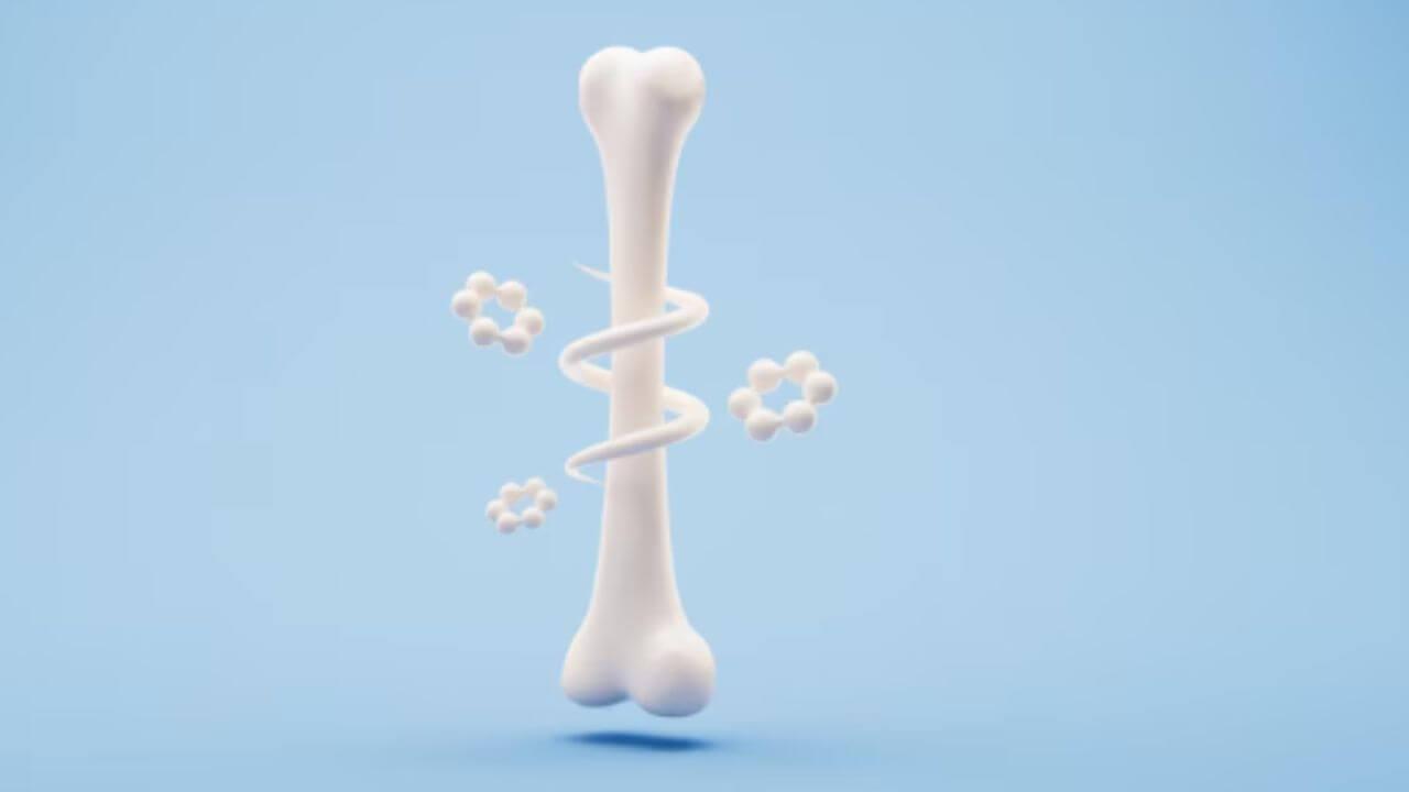 हाडे मजबूत बनवण्यासाठी आहारात समाविष्ट करा ५ पदार्थ, सांधेदुखी होईल दूर