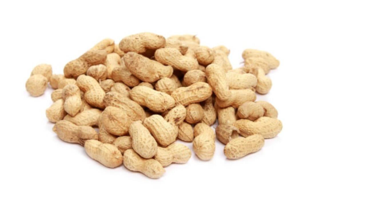 दररोज सकाळी खा भिजवलेले शेंगदाणे, आरोग्याला मिळतील ५ फायदे