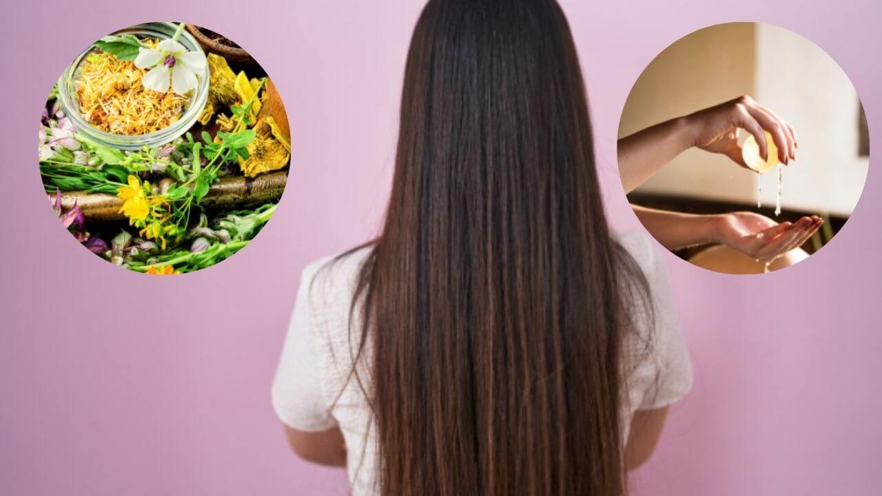 केस सतत गळतात, वाढही होत नाहीय? लांबलचक केसांसाठी ट्राय करा ‘या’ आयुर्वेदिक पद्धती