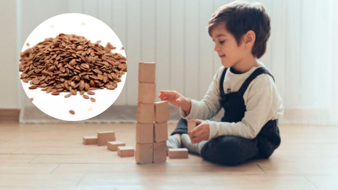 मुलांच्या मानसिक आणि शारीरिक विकासासाठी अत्यंत फायदेशीर आहेत जवस बी, आजच आहारात करा समावेश