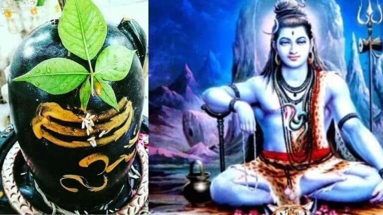 Mahashivratri 2026 : शमीच्या पानांचा हा सोपा उपाय; काटक