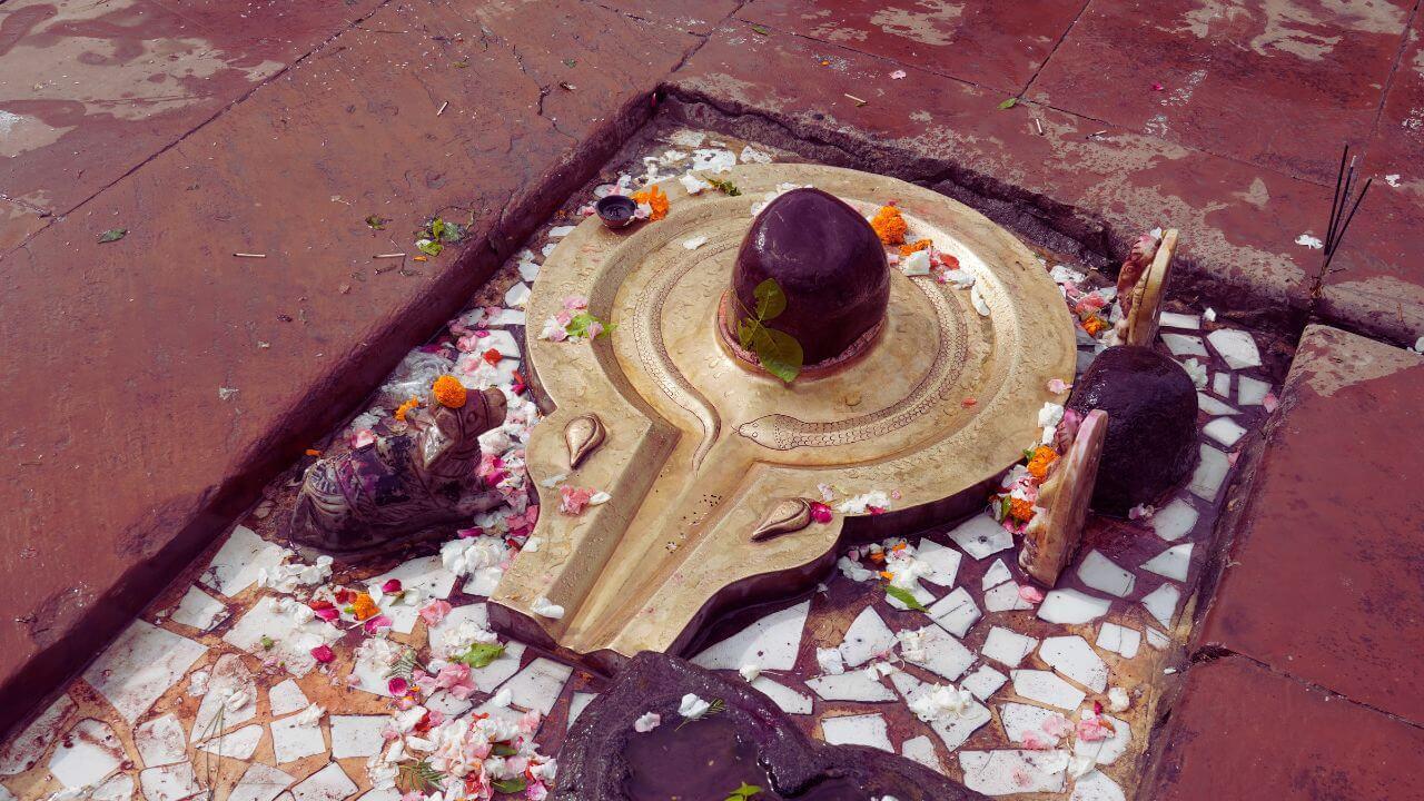 Shravan Somvar 2025 : यंदा शेवटचा श्रावणी सोमवार; शिवामूठ कोणती वाहाल? पूजेचा विधी अन् सर्वकाही