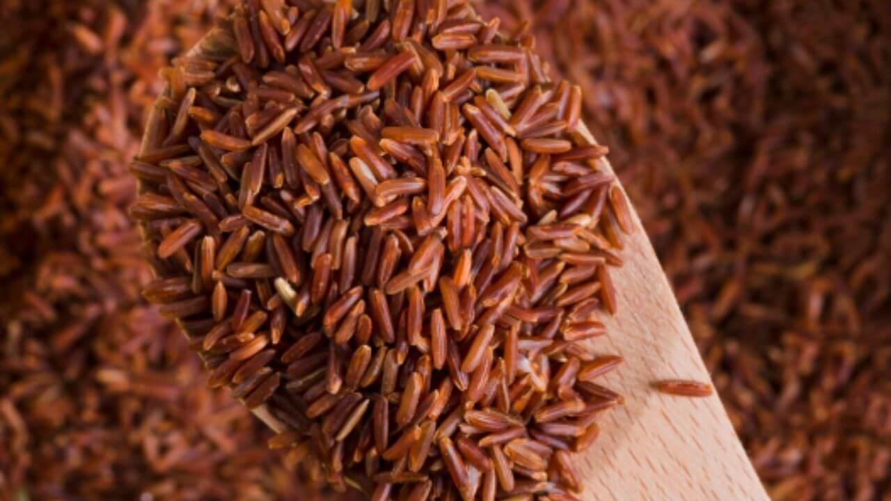 तपकिरी तांदूळ खाण्याचे 5 आरोग्यदायक फायदे, आजच आहारात करा समाविष्ट