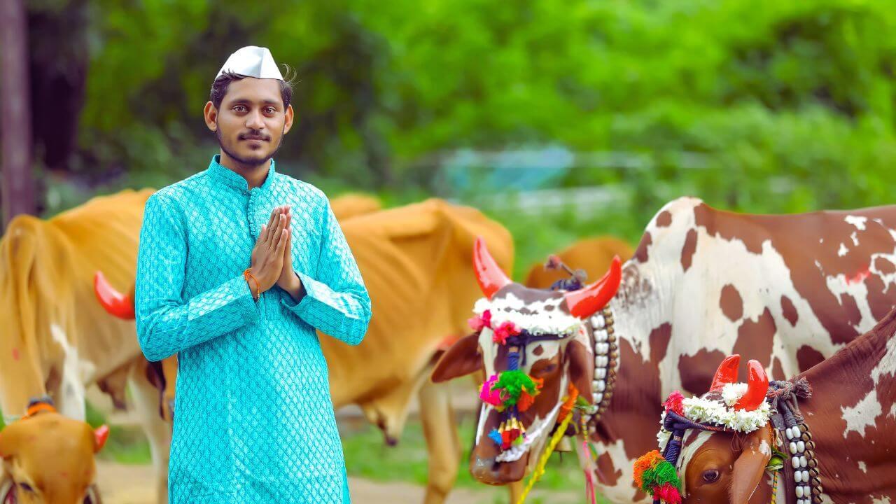 Bail Pola 2025 : यंदा कधी आहे बैलपोळा? साजरा करण्यामागील कारण काय? जाणून घ्या इतिहास