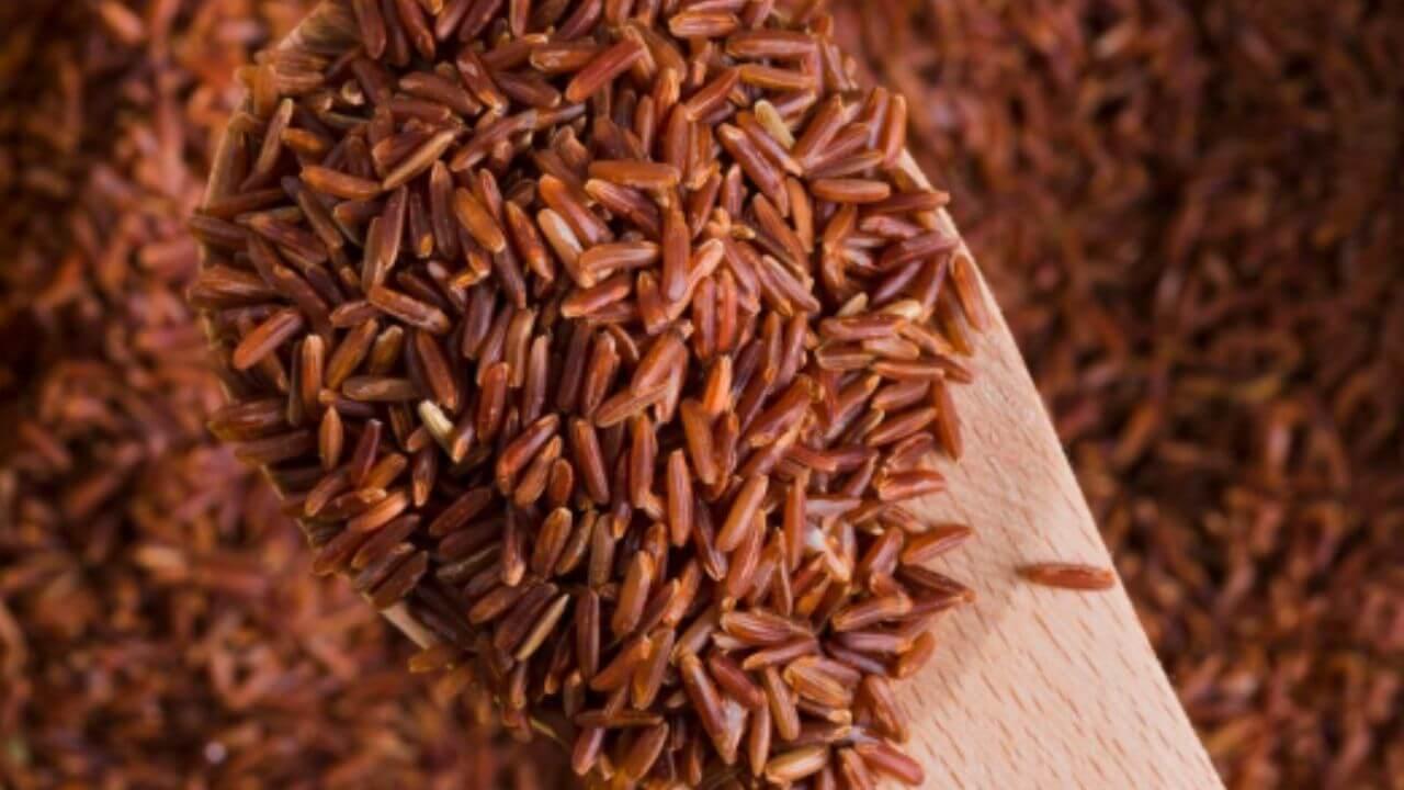 वजन कमी करण्यास उपयुक्त आहे तपकिरी तांदूळ, जाणून घ्या विविध फायदे