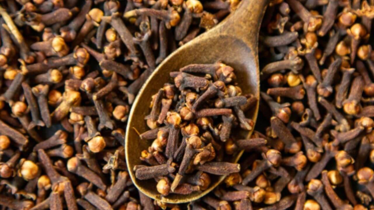 मधुमेहींसाठी अत्यंत गुणकारी आहे लवंग पाणी, जाणून घ्या विविध फायदे