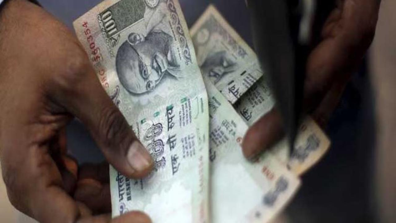 नोकरदारांनी SIP करताना या गोष्टी लक्षात ठेवा, नाहीतर मोठी किंमत मोजावी लागेल