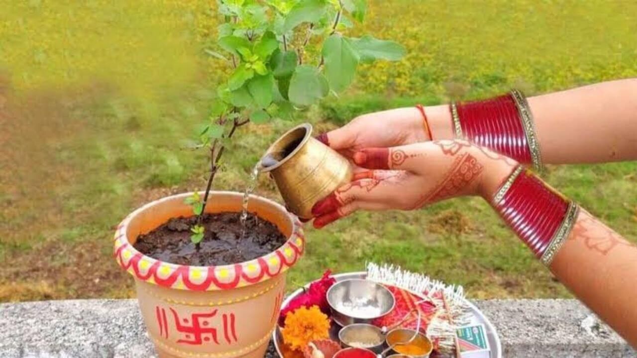 Pitru Paksha 2025 : पितृपक्षात तुळशीची पूजा करावी की नाही?? चला सविस्तर जाणून घेऊया