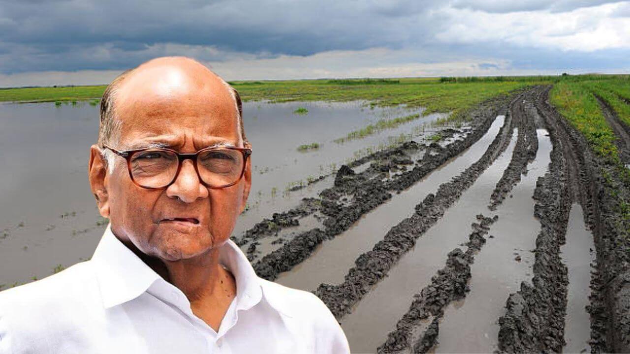 Sharad Pawar On Flood Affected Farmers : …. तर शेतकऱ्यांचा उत्पादन मिळण्याचा मार्ग कायमचा थांबेल; पवारांनी व्यक्त केली सर्वात मोठी भीती
