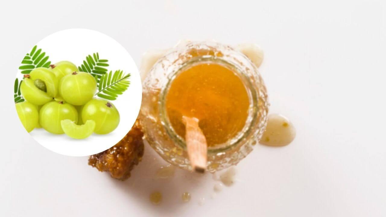 दररोज सकाळी खा आवळा आणि मध, बद्धकोष्ठतेपासून ते चमकदार त्वचेपर्यंत मिळतील अनेक फायदे