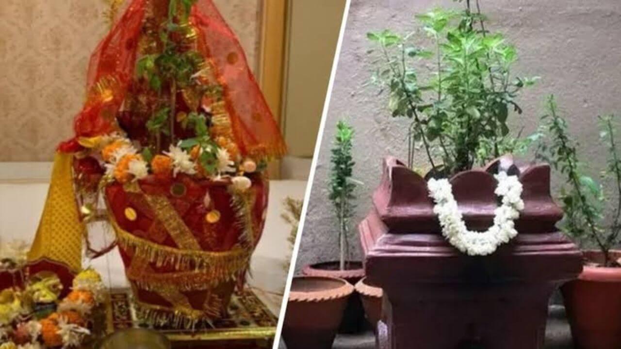 Tulsi Vivah 2025 : तुळशी जवळ अजिबात ठेऊ नका या वस्तू; अन्यथा घरात येईल गरिबी