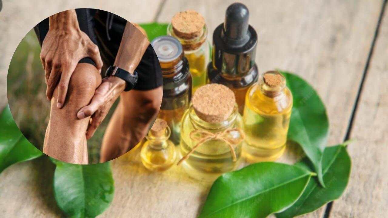सांधेदुखीमुळे सांध्यांना सूज येऊन वेदना होतात? ‘हे’ ४ आयुर्वेदिक तेल देतील आराम