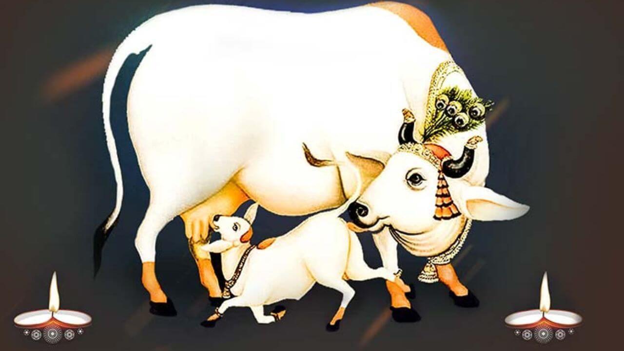 Vasubaras 2025: 17 ऑक्टोबरला सर्वत्र वसुबारस साजरी होणार; गाईच्या पूजेचे धार्मिक आणि सांस्कृतिक महत्व