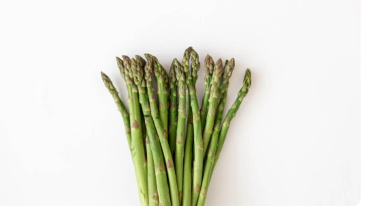 रक्तदाब नियंत्रित करण्यापासून ते हाडे मजबूत ठेवण्यापर्यंत अनेक फायदे देते शतावरी, जाणून घ्या खाण्याची पद्धत