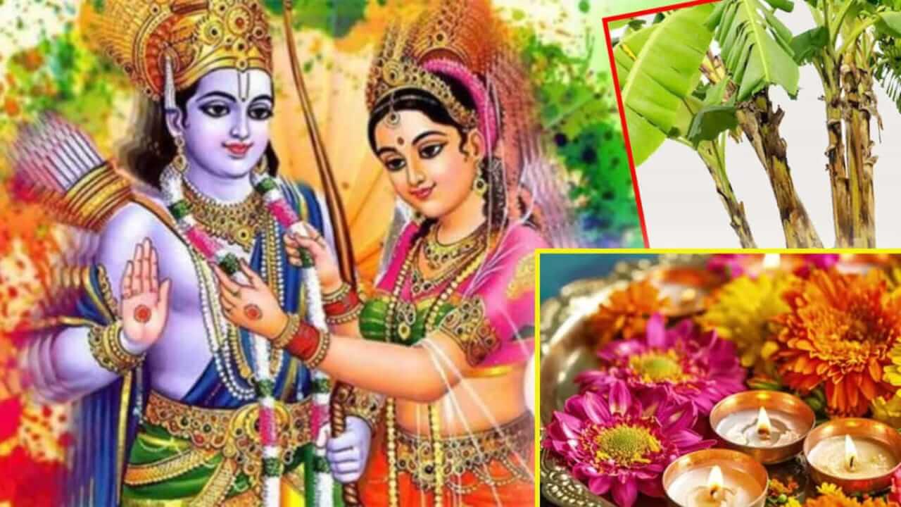Vivah Panchami 2025 : विवाह पंचमीला केळीच्या झाडाची पूजा का केली जाते? जाणून घ्या कारण