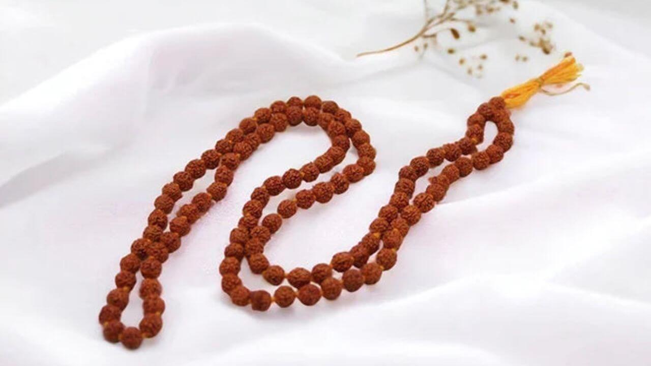 Rudraksha Mala : रुद्राक्ष माळ घातल्याने होतात हे विशेष फायदे ; घालताना घ्या ही विशेष काळजी